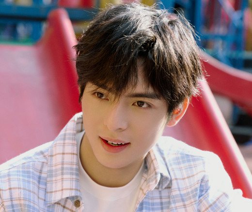 1701012 (a): :4054x3410